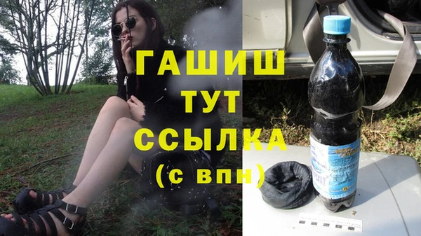 молекула духа Михайлов
