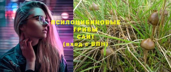 трава Михайловка