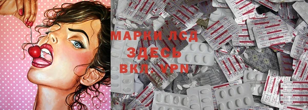 молекула духа Михайлов