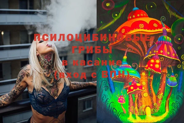 mix Мегион