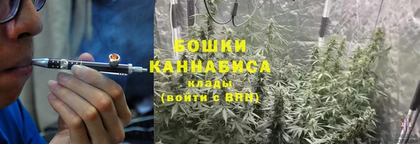 молекула духа Михайлов