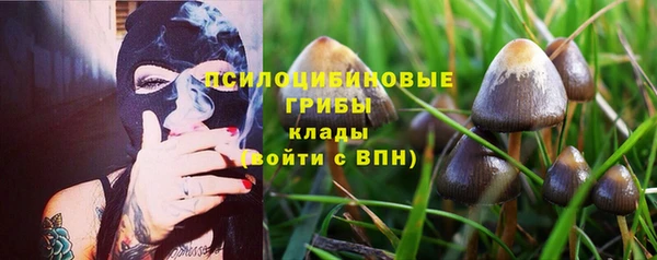 молекула духа Михайлов