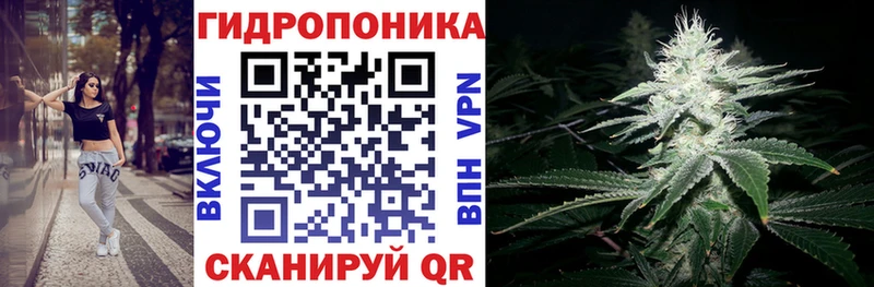 хочу наркоту  kraken   Шишки марихуана семена  Ильский 